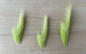 Peeled and chopped celery pieces